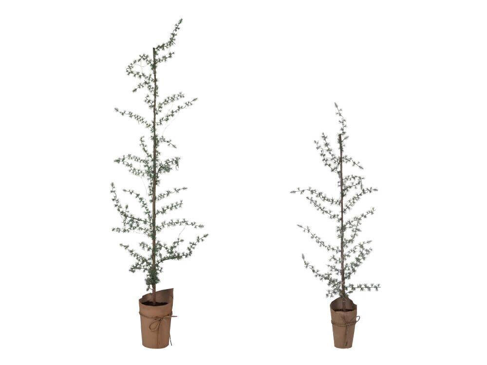 Cederträ med LED-ljus - 150 cm – fewdesign.se